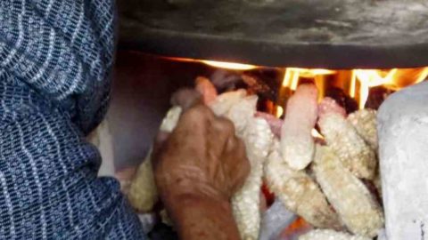 an older woman with a blue headscarf putting dried corn inside a fire stove to make tortillas