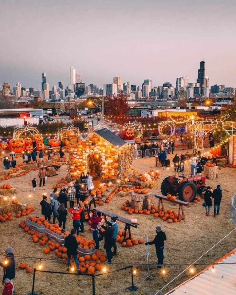 31 Of The Best Fall Festivals in Illinois You Need To Visit [Updated 2023]