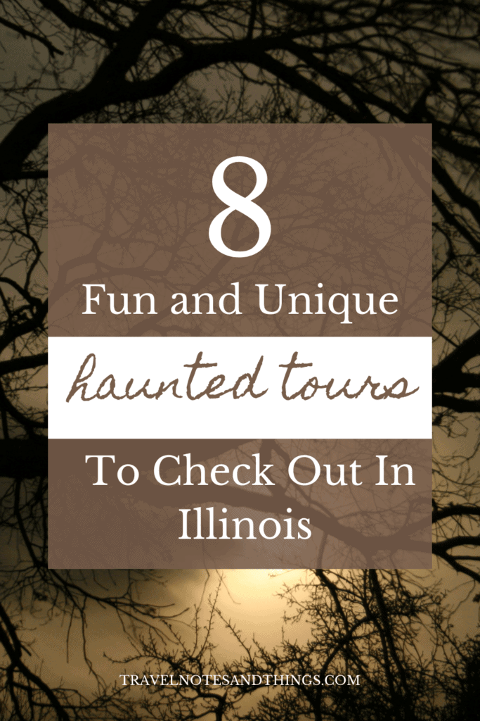 Haunted tours in Illinois pin image tree branches at night