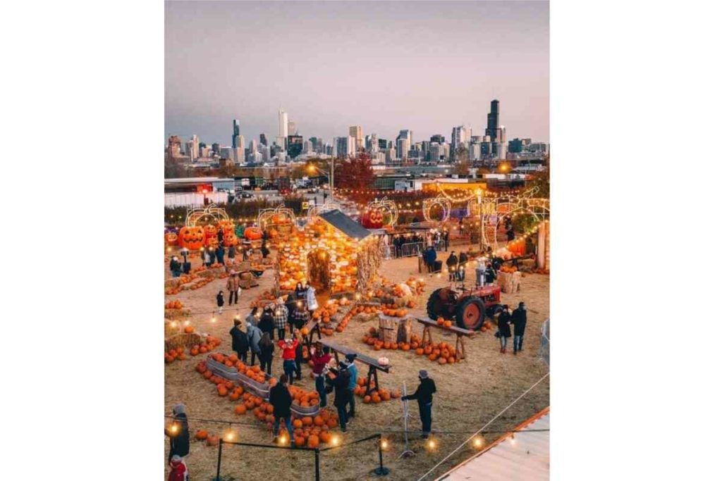 chicago fall festival at night