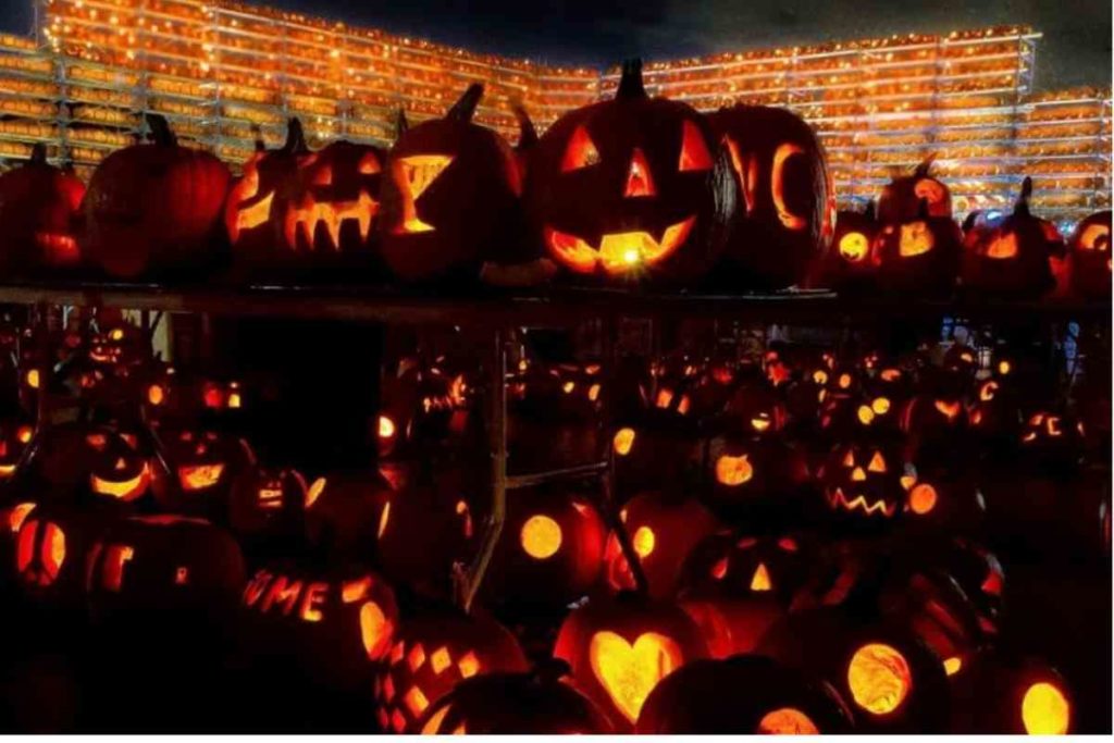 pumpkin jack o lanterns lit up at night