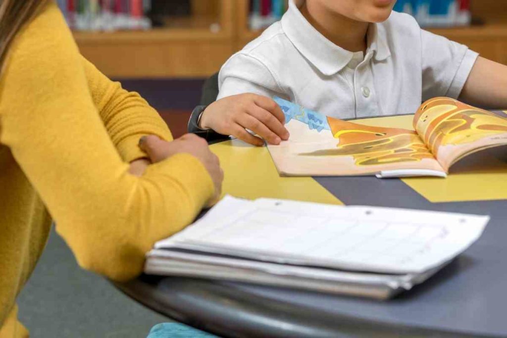 A female teacher tutoring a young student