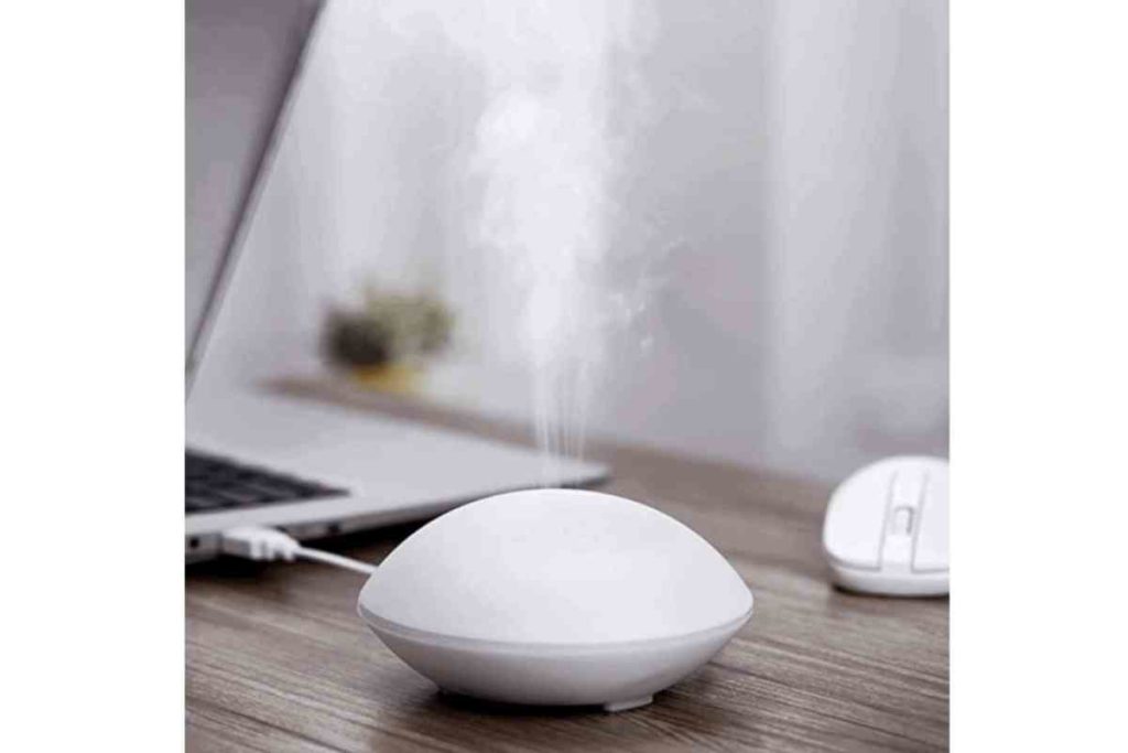travel-sized diffuser