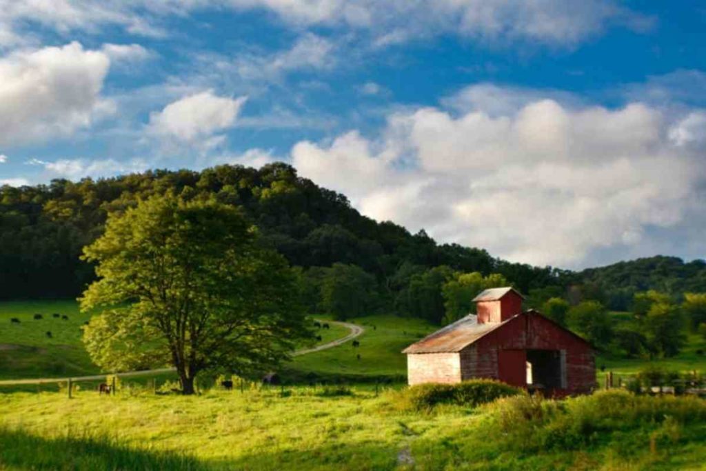 Farm house in the green rolling hills