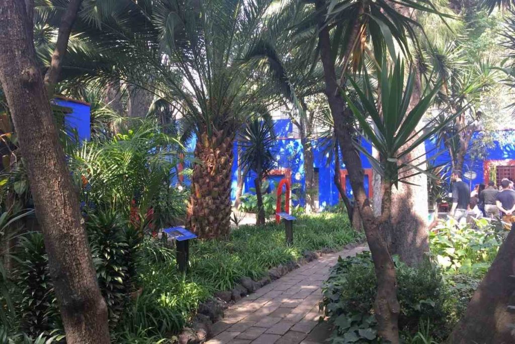 Palm trees and lush gardens inside La Casa Azul Frida Kahlo Museum in Coyoacan Mexico City