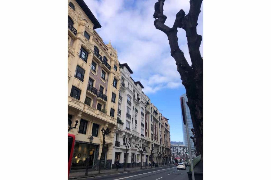 A tree on a street lined with historic building apartments in the Deusto neighborhood in Bilbao.