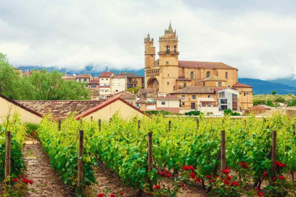Vineyards and an old church in La Rioja, Spain